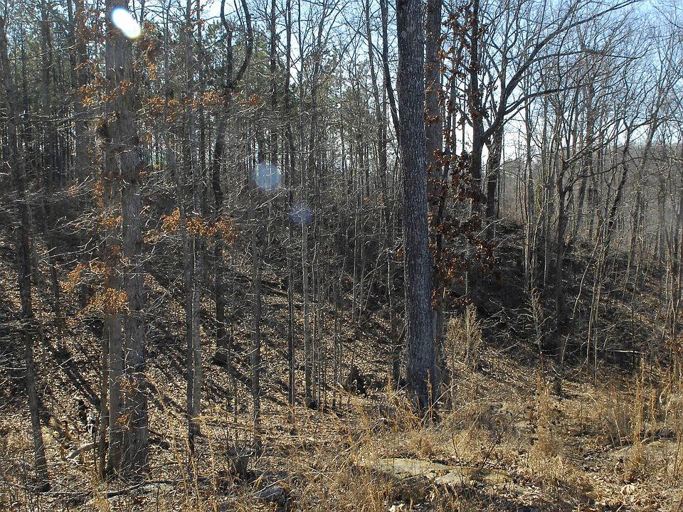 1st image of 53 Highway 156