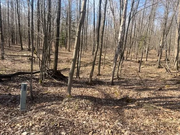 Bartz Bay Rd #40, Pickerel, WI 54465