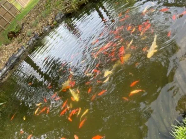 408 W Washington St, Fertile, IA 50434