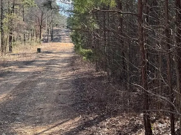 Fannie Mae Dr Lot 2, Broken Bow, OK 74728