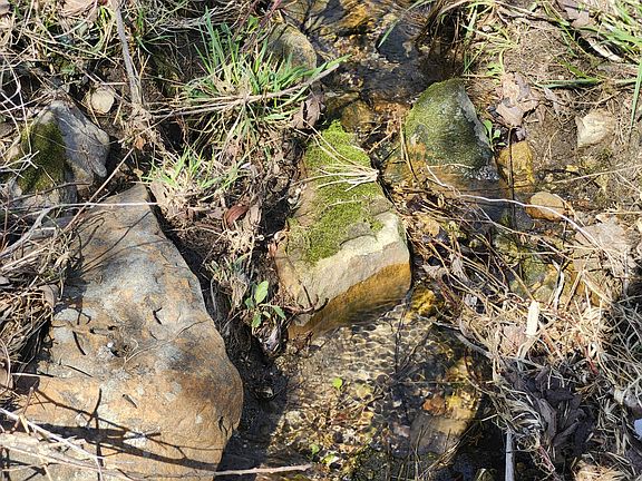 3rd image of Tbd Huggins Road