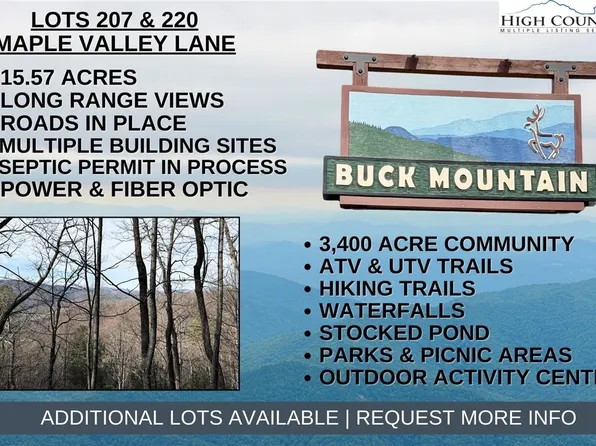 Lots 207 & 220 Maple Valley Lane, Purlear, NC 28665