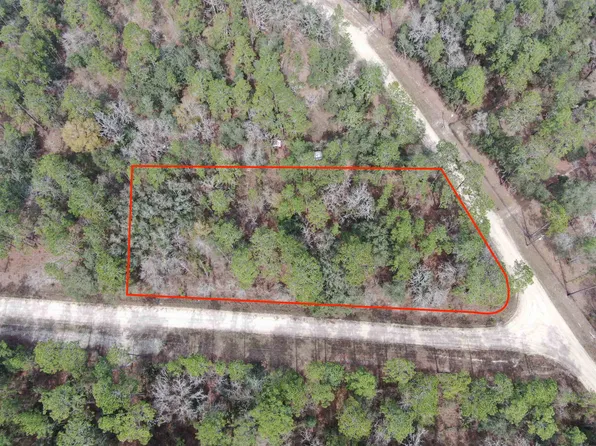 Vacant Ne Blackjack Loop #1, Lee, FL 32059