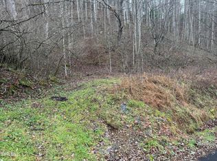 Tbd Tiger Creek Rd, Roan Mountain, TN 37687