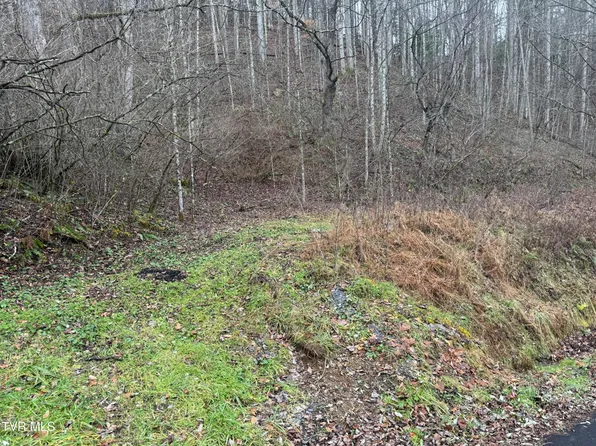 Tbd Tiger Creek Rd, Roan Mountain, TN 37687