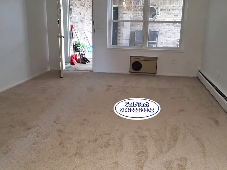 155 Birdseye St #B2 — Photo 6