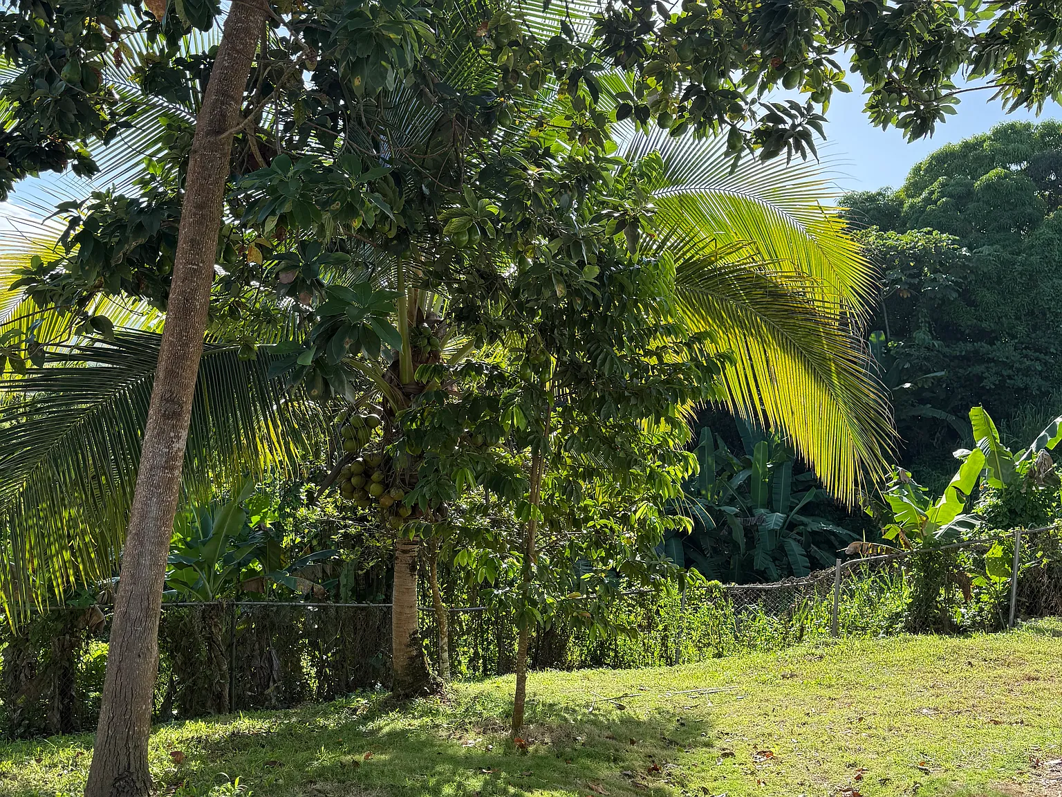State Road 435, San Sebastian — Photo 3