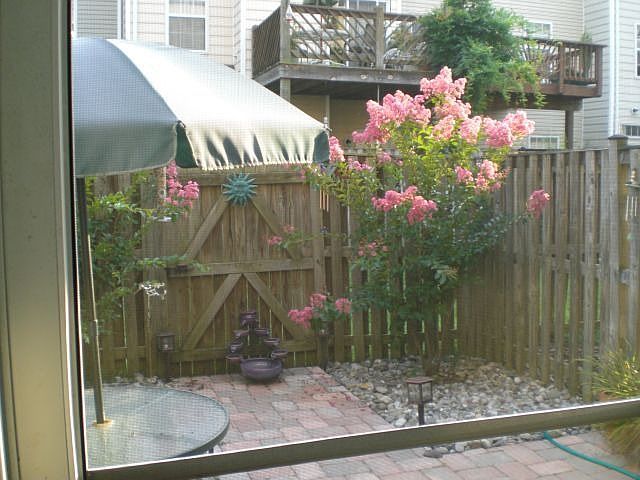 Back patio/private