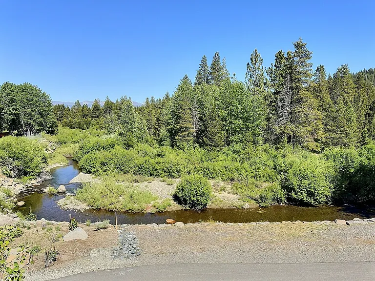 12875 Ice House Loop — Photo 5