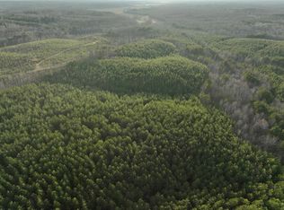 Race Path Rd, Stantonville, TN 38379