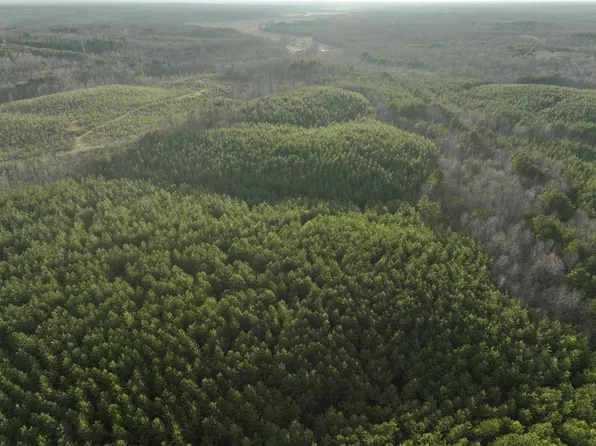 Race Path Rd, Stantonville, TN 38379