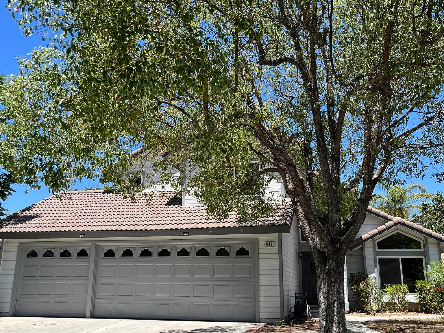 447 Yellowstone Cir — Photo 1