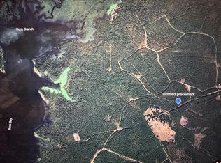 90 County Divide Rd, Pineland, TX 75968