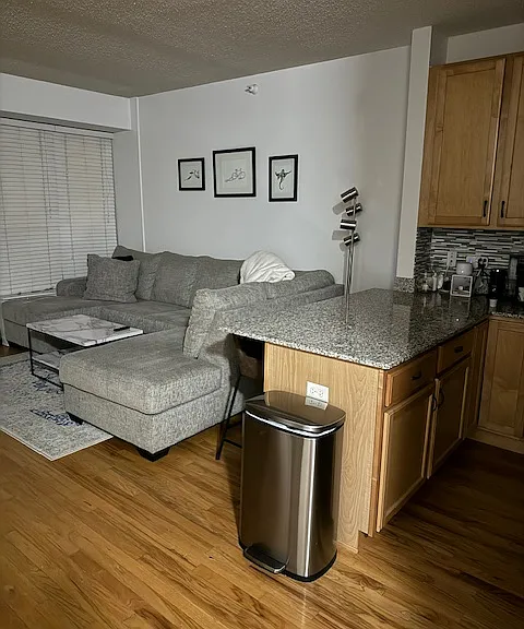 1717 S Prairie Ave #907 — Photo 6