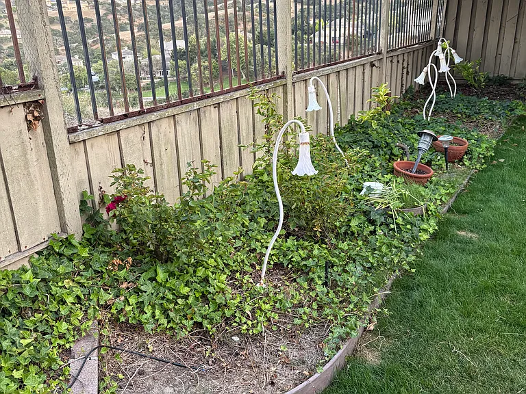 26215 Acclaim Ct — Photo 14