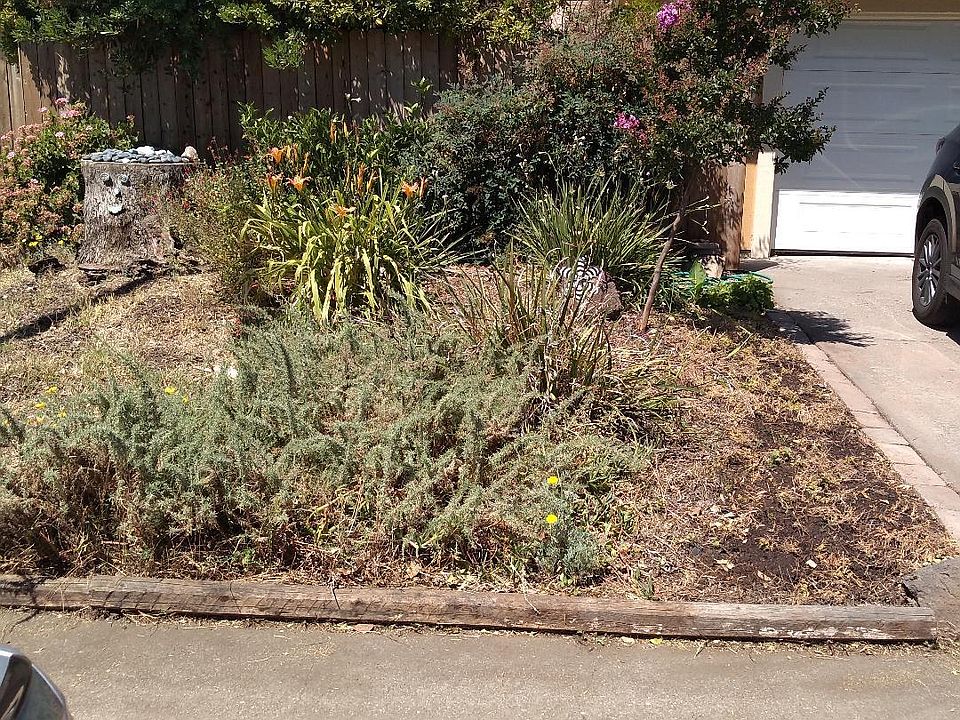 Front and driveway.
