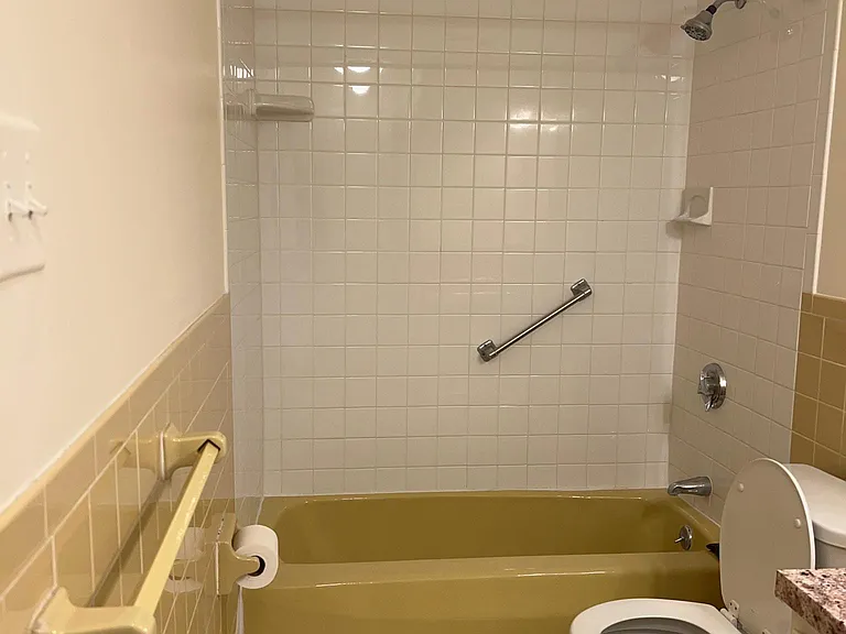 Bathtub