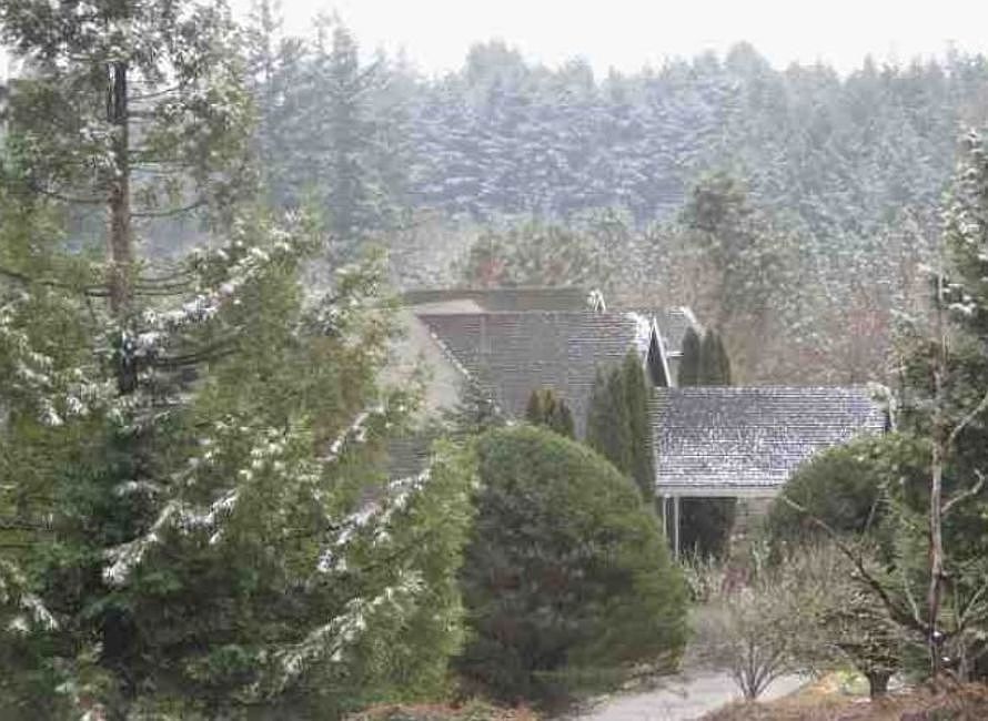 Property Front View