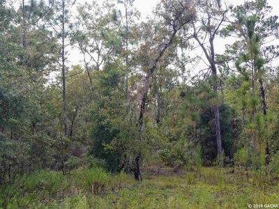 11850 NE 106th Ct, Archer, FL, 32618