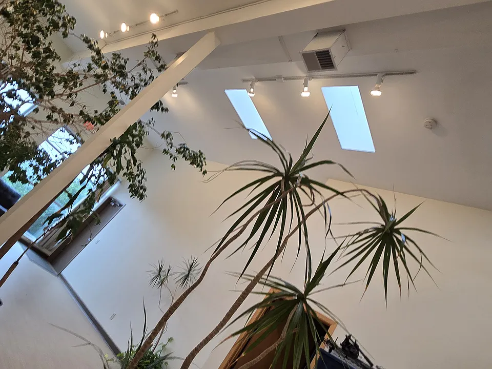 425 Cedar Ave #2