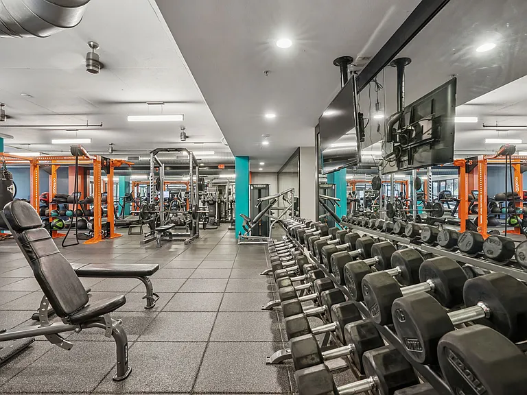 The Arnold — Photo 13