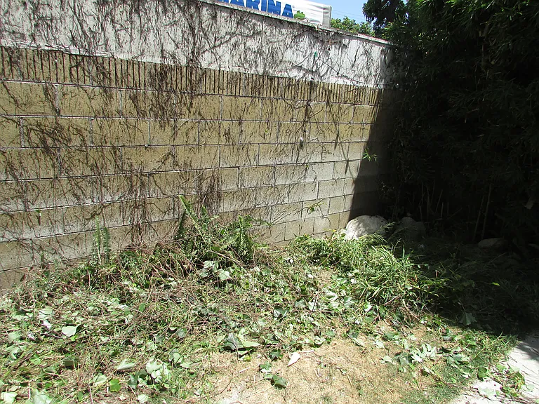 Back yard