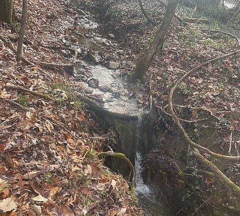 4th image of 1008 Blair Loop Rd