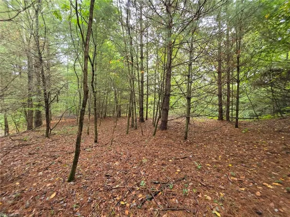 LOT 78 Green Meadows Dr, Todd, NC 28684