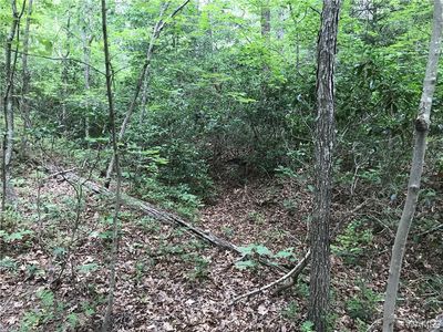 4531 River Oak Dr, Northport, AL, 35473