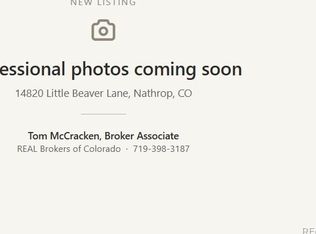 14820 Little Beaver Lane, Nathrop, CO 81236
