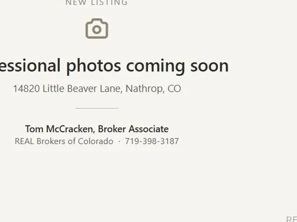 14820 Little Beaver Lane, Nathrop, CO 81236