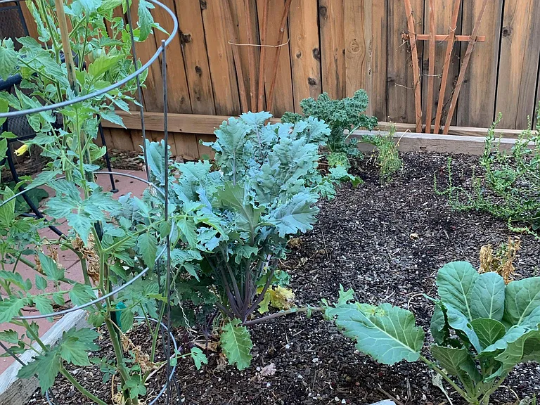 4662 Camino Cuervo — Photo 6