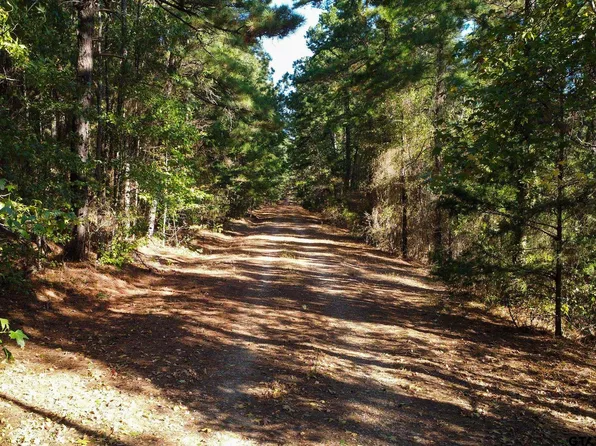 Fm 3079, Brownsboro, TX 75756