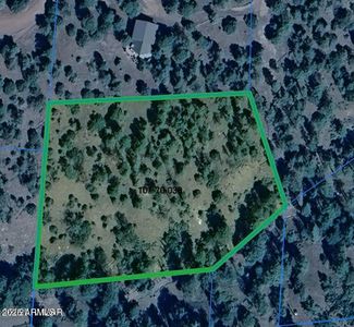 LOT 38 Noble Mountain Ests, Nutrioso, AZ, 85932
