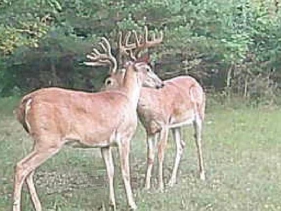 5th image of 19820 Ivey Rd