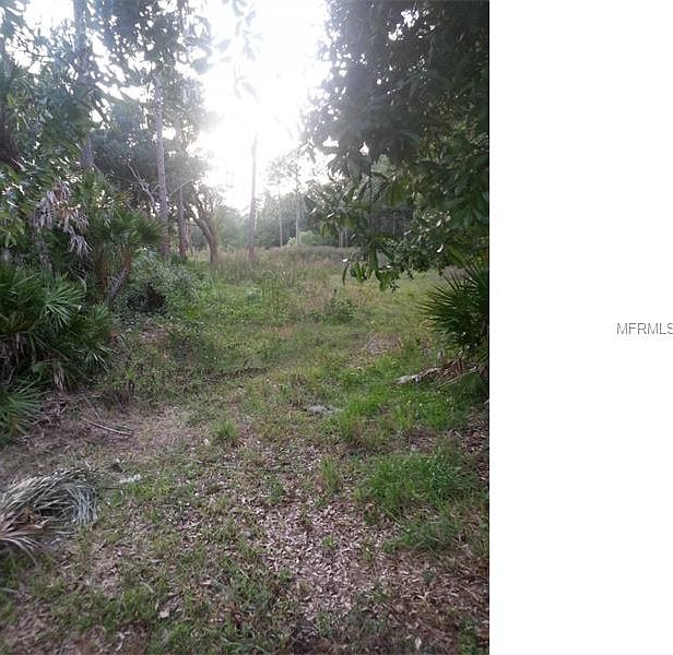 2nd image of 10316 Forest Run Dr