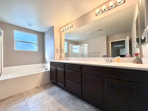 Primary bathroom