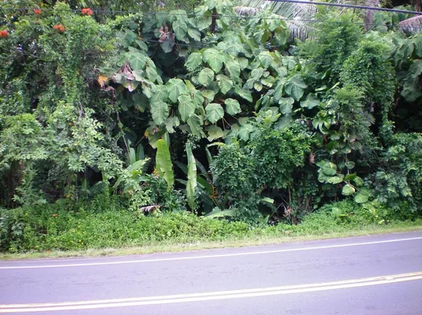 Palainui Ave Lot 20, Mountain View, HI 96771
