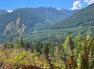 0 Bennett Rd LOT B, Randle, WA 98377