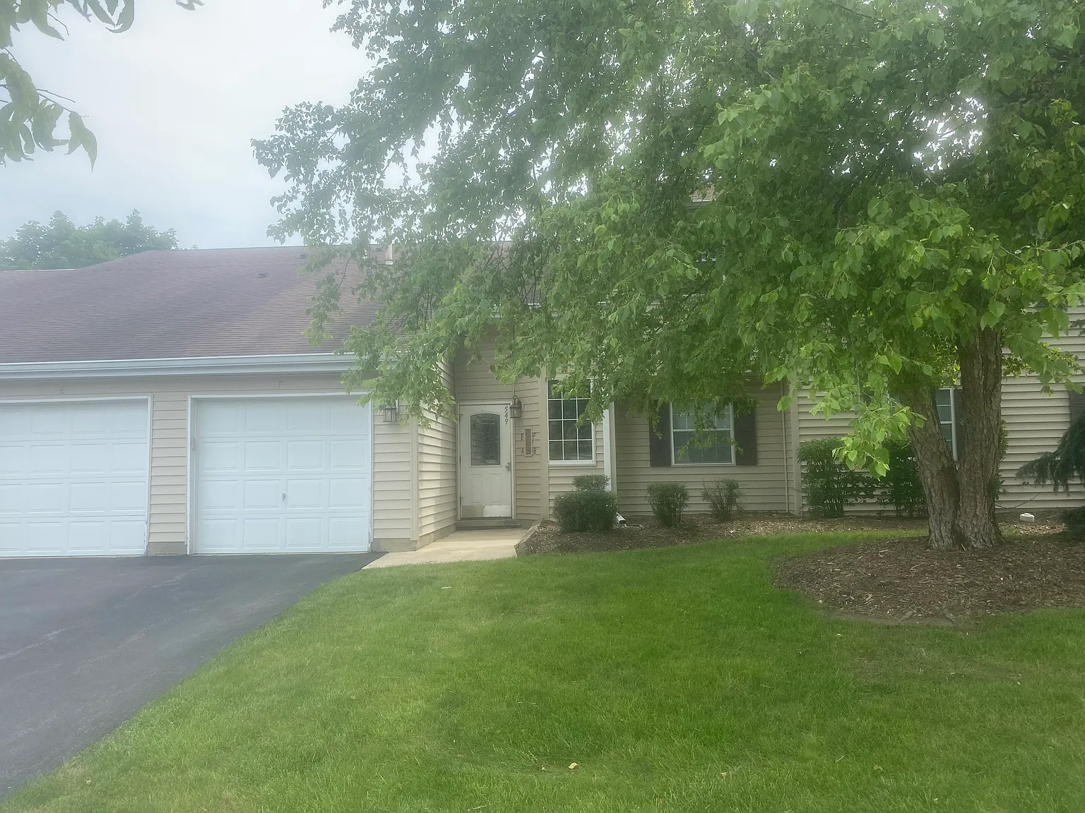 1 bed, 800 sqft, $1,650 — Photo 1