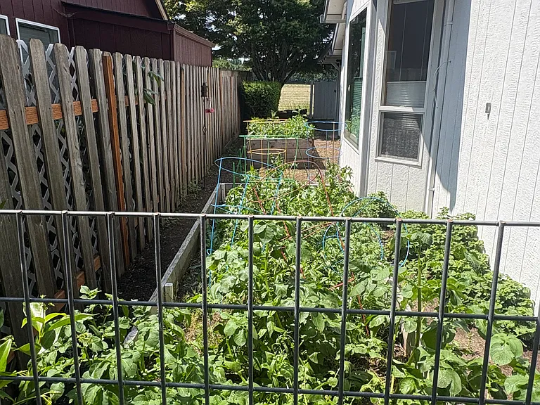 2 Large Side Garden Beds