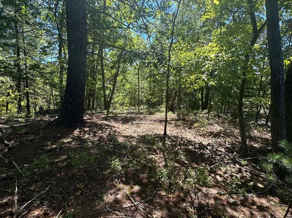 Nelson Way #188, Basye, VA 22810