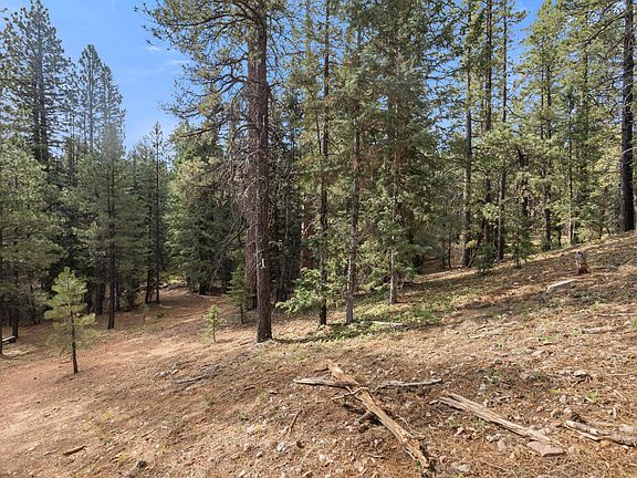 5th image of 20 N Pinetree Trl