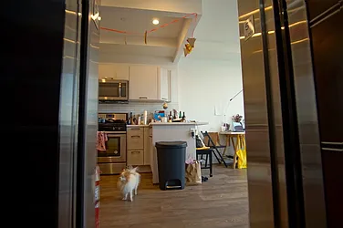 Rented by Lofts and Flats LLC