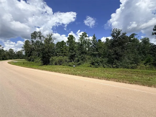 12075 High Branch Way, Willis, TX 77378