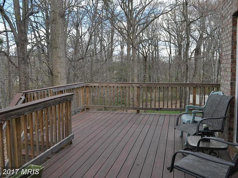 10084 Daniels Run Way — Photo 29