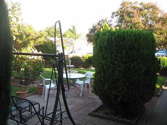 Front Yard