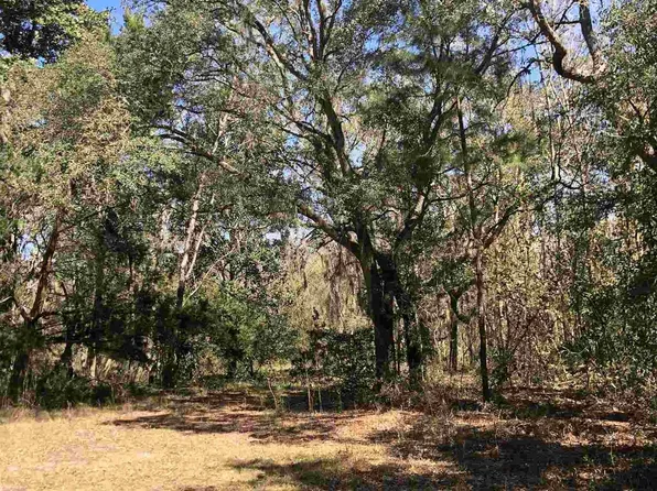 60 Bennie West Rd, Waverly, GA 31565