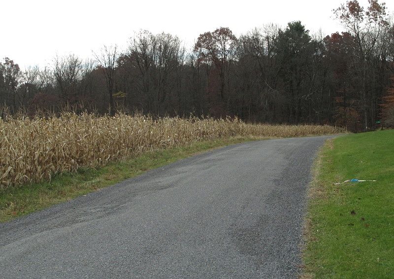 2nd image of 2837 Greeley Road