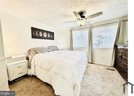51 Chins Ct — Photo 25